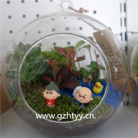 微景观-球形 150# 16P/X 植悟