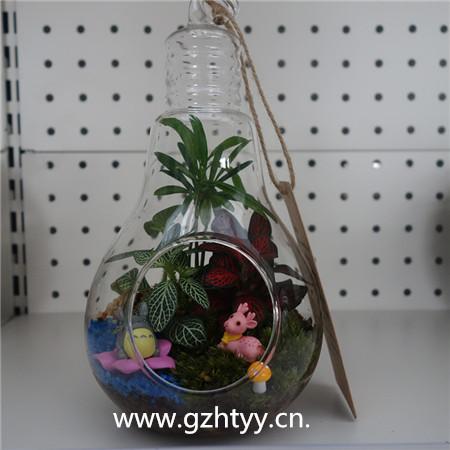 微景观-灯泡  36P/X  植悟