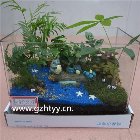 微景观-玻璃缸F3 6P/X 植悟