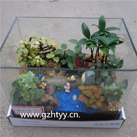 微景观-玻璃缸F2  10P/X  植悟
