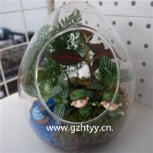 微景观-恐龙蛋...