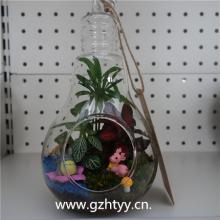 微景观-灯泡 ...