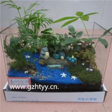 微景观-玻璃缸...